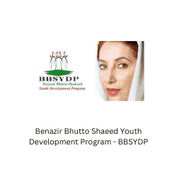 Benazir Bhutto Shaeed Youth Development Program   BBSYDP